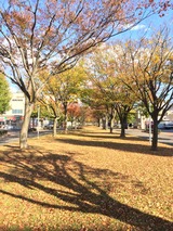 2014-10-28-13-58-27
