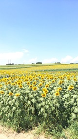 2014-08-03-11-23-06
