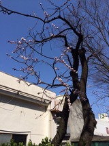 2014-04-07-13-41-17