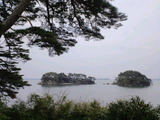 6465f29c.jpg