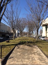 2014-04-01-13-35-26