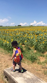 2014-08-03-11-24-45