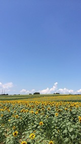 2014-08-03-11-17-45