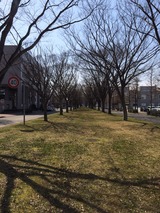 2014-04-07-14-02-57